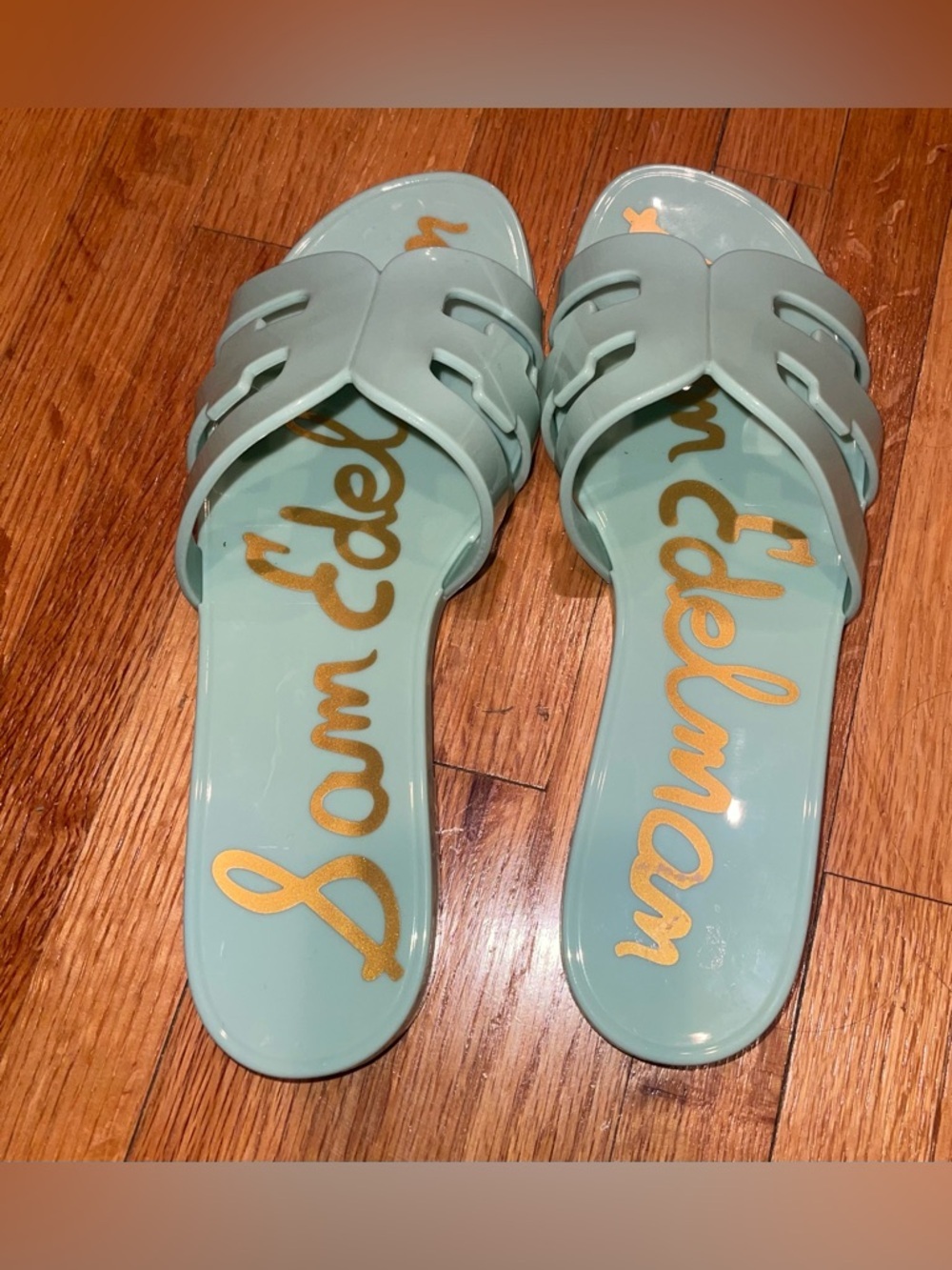 Sam Edelman Mint Bay Jelly Slide Sandals 8